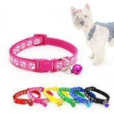 Vòng Cổ Chó Mèo Có Chuông Dày 1cm - Paddy Pet Shop